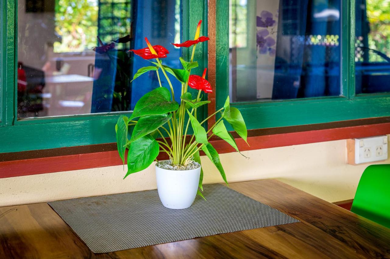 Tropical Lodge Innisfail Εξωτερικό φωτογραφία
